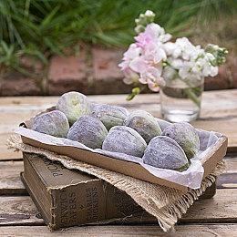 《Apex英雄》战士收集活动预告 密客“传家宝”即将上线